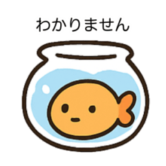 メダカ好きなあなたへ