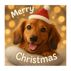 sinderera_20251203123137