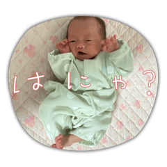 PandA_20251203130343