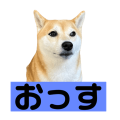 KIGANUU_20251202221349