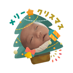 darumakodarumako_202512