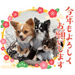 monaka_20251203135855