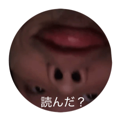 takashi_20251203001934