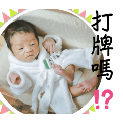 社會我安哥（2）