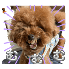 YUKARI_20251203142855