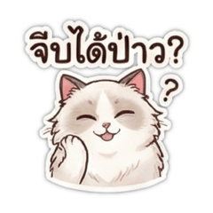 Can I flirt with you