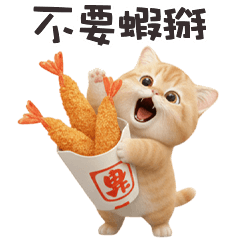 chubby chubby cats37