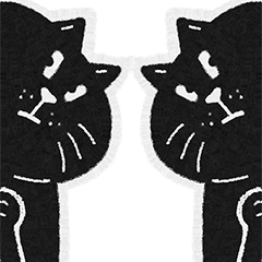 Black Cat! Black Cat!