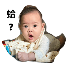 寶寶小鳳梨日常篇