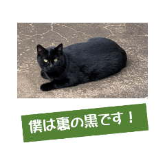 TAKASHI_20251203105357