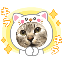 itsuki_20251203180036