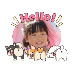 mipoporin_20251203204554