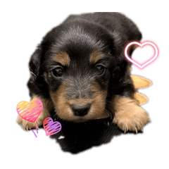 HIYORI_20251203165000