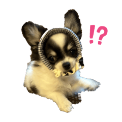 Yurina_20251203191139