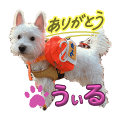 longpeach_20251203193741