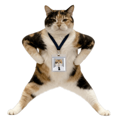 ต้าวสามสี ❤️ ตัวตึงออฟฟิศ [ENG]