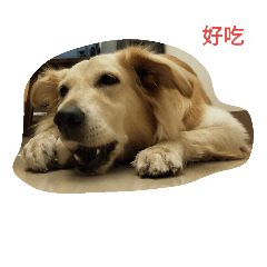goldens