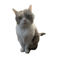 return_20251203211700