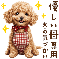 母♡トイプードルの冬の気づかい