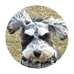 Nanami_20251203195604