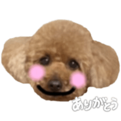 sachi_20251203192052