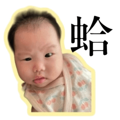 A bit of cuteness for today.