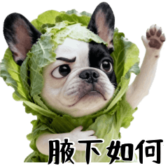 菜包法鬥的情緒日記-2