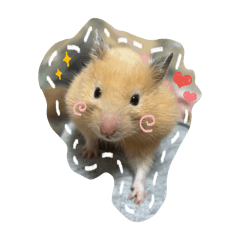 kinako_20251203130400