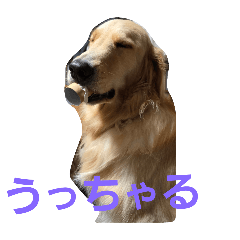 magumaguo_20251203130431