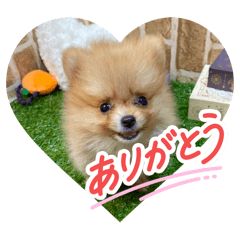 mofuzou_20251203181008