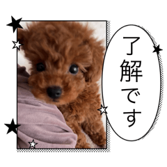 Kumakichi_20251204001709