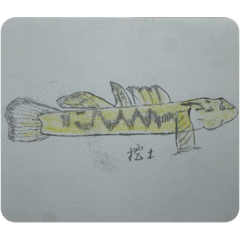 小魚們的小劇場