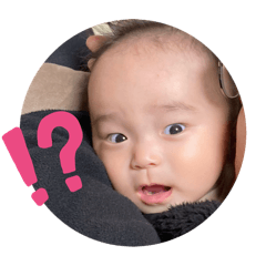 sakura_20251203234441