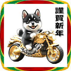 Golden Motorcycle Kuroshiba