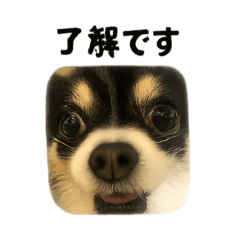 Mameo_20251203213217