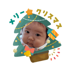 setta_20251204031022