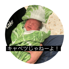 matsu_20251204032513