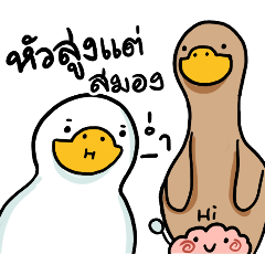 สำลีห่านจอมกวน : ใช้ง่ายจ้า