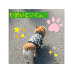 HAPPY_20251204113211