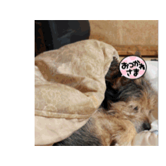 NAGISA_20251204124349