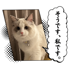 chikuwa_20251203233731