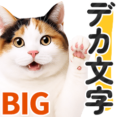 【デカ文字BIG】三毛猫❤基本の会話