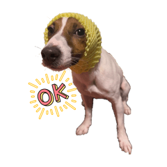 Kamui_20251204002318