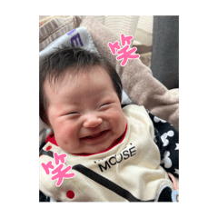 koto_20251204003838