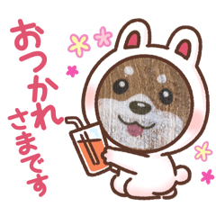 HIMAWARI_20251203191818