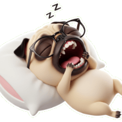 むくれ顔で泣きべそをかくパグ犬、絶対にイ