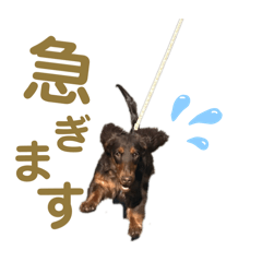 miiisan_20251203213732