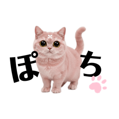 Kawakami_20251203225415