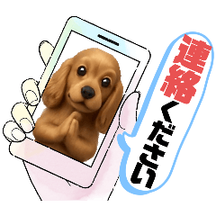 ayame_20251205012304