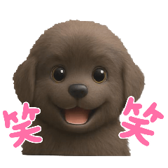 ayame_20251205011946